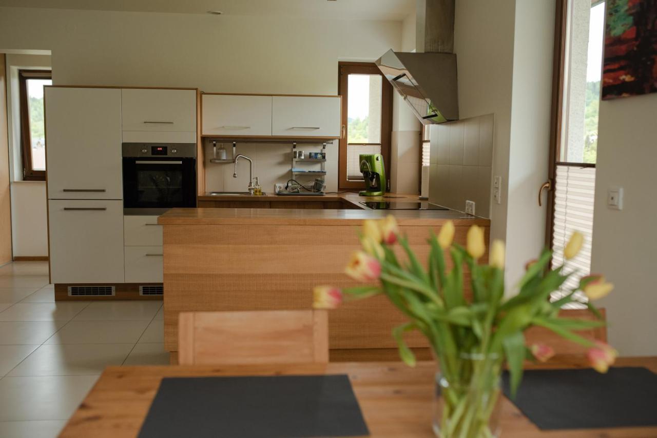 Apartament Sloneczna Rapsodia - Blisko Parku Zdrojowego - Piekny Widok - Ogrod - Taras Rabka Exterior photo